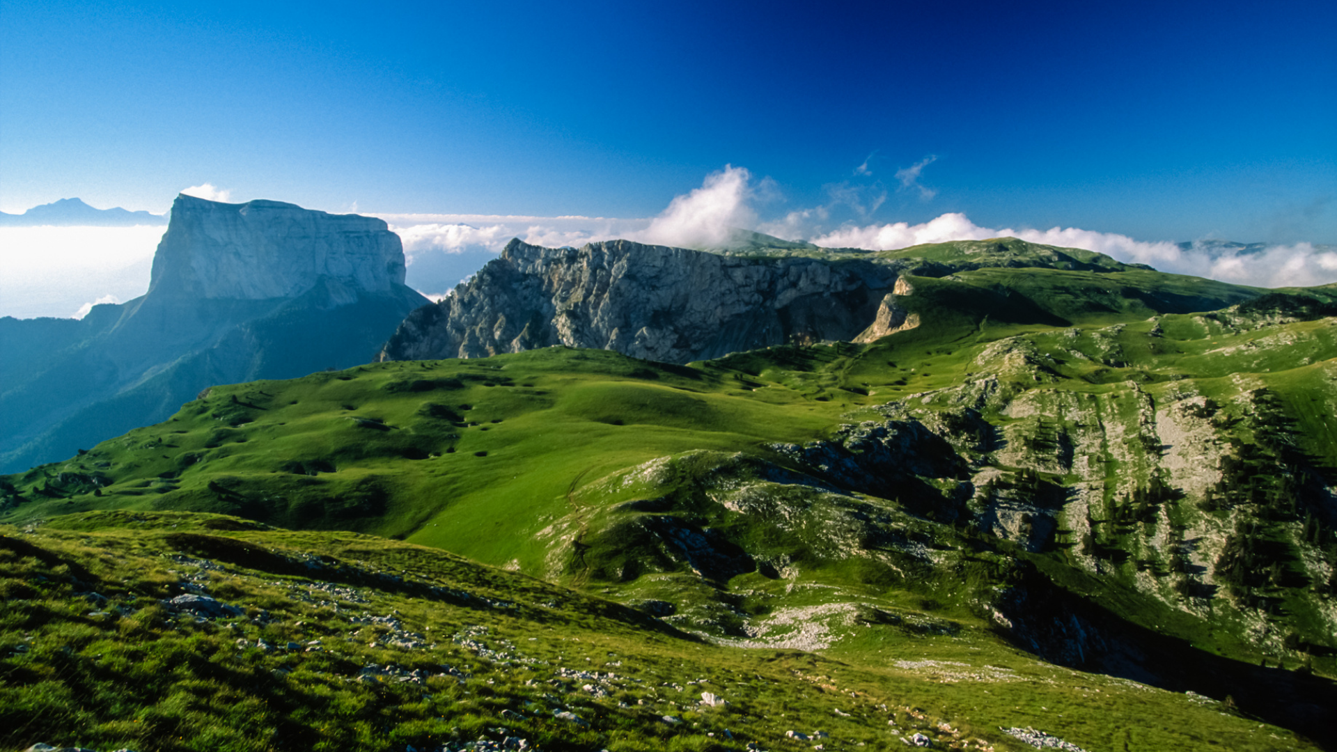 Forêt Vercors