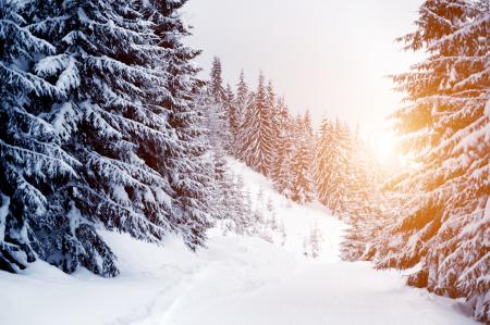 Therm-ic Snow
